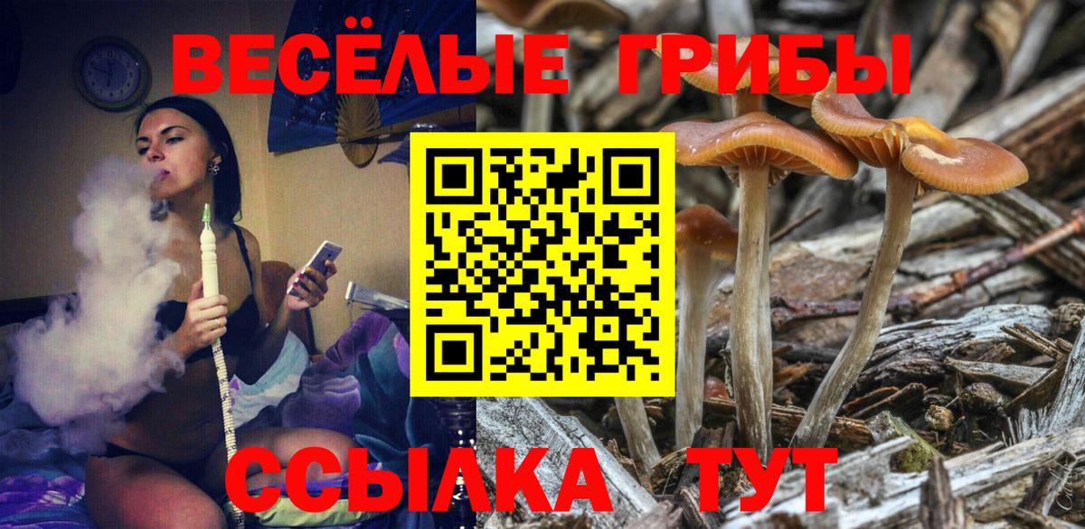 Псилоцибиновые грибы Magic Shrooms  Псилоцибиновые грибы Cubensis  Вход с VPN  Димитровград 