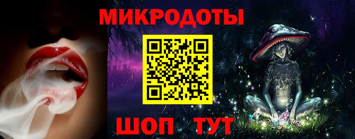 Псилоцибиновые грибы Cubensis Димитровград